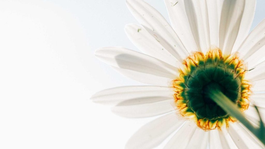 5 Fakta Jelang Man City