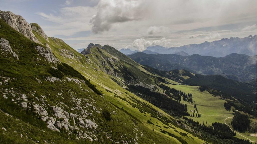 Algoritma Ketupat dan Tangan Tak