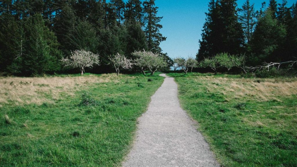 Darurat Tramadol Jual Obat Keras