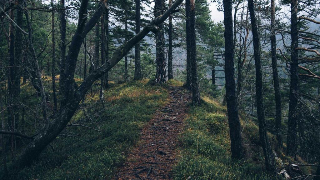 Fakta-fakta Bupati Cilacap Jadi Tersangka