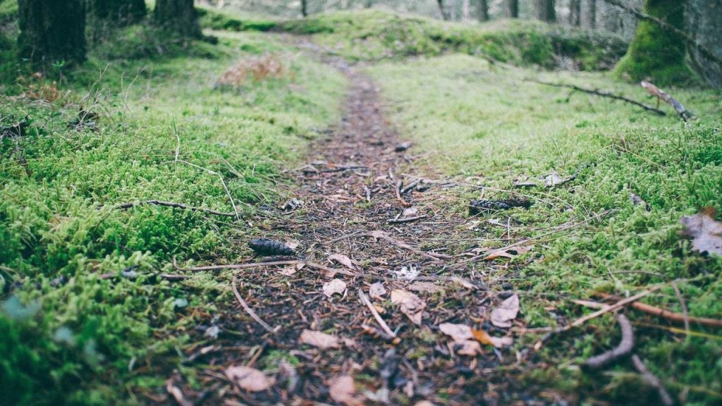 Gugatan Penulisan Sumatera vs Sumatra