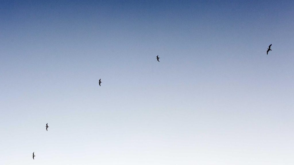 Jadwal Imsak dan Subuh Hari