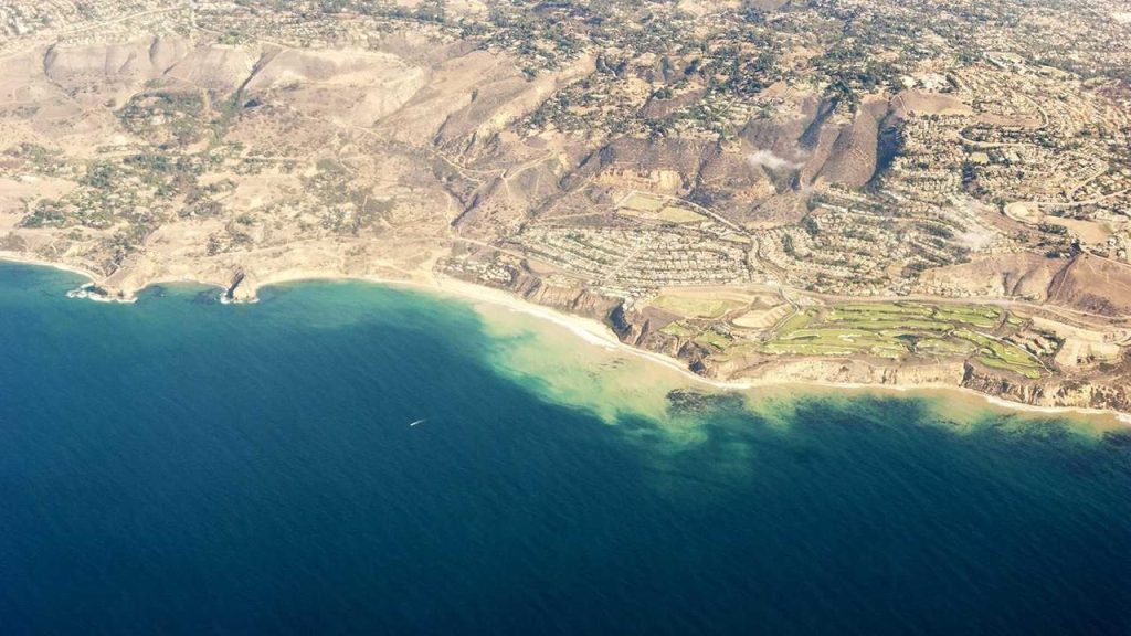 Jumbo Berhasil Bertahan Sebulan di