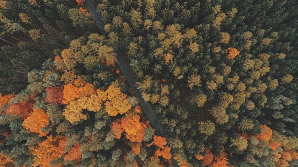 Sinopsis John Wick 4 Bioskop